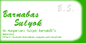 barnabas sulyok business card